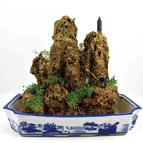 精品上水石假山盆景吸水石天然奇石原石创意礼品家庭景观奇石装饰