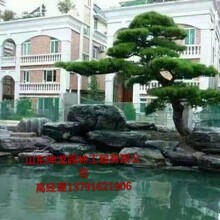 山东坤龙园林工程