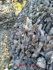 水族青龙石 假山叠石 精品峰石