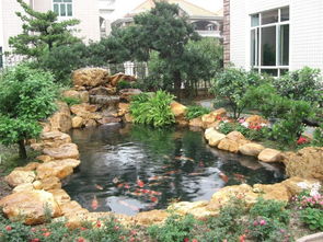 英德黄蜡石,景观石,园林石