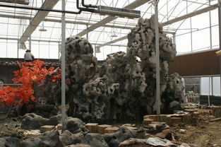 假树工程设计,江苏假山假树工程哪家名声好