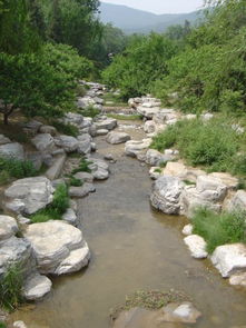 水泥假山设计的作用