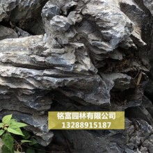 假山 园林艺术中的自然缩影