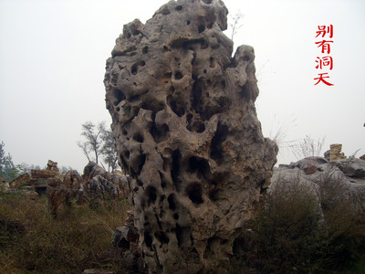 灵璧园林石 别有洞天的风景与绿化之美